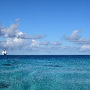在线黄色电影网址
